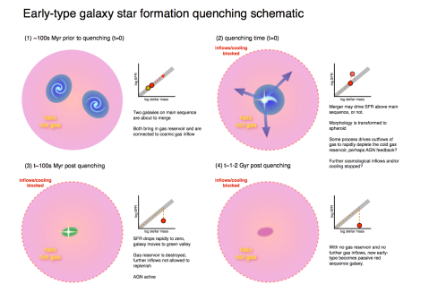 A cartoon version of how we think ellipticals shut down their star formation.